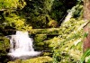 McLean Falls

Trip: New Zealand
Entry: The Deep South.
Date Taken: 17 Mar/03
Country: New Zealand
Viewed: 2604 times
Rated: 10.0/10 by 2 people